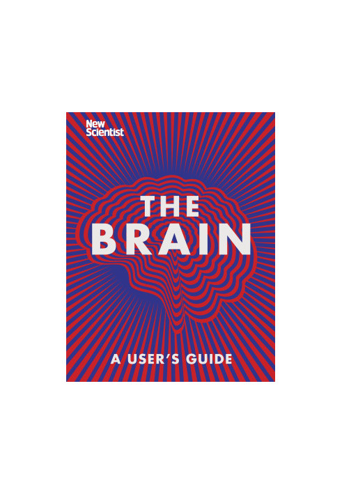 The Brain