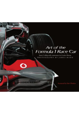 Art of the Formula 1 Race Car