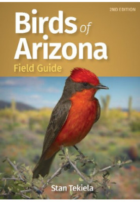 Birds of Arizona Field Guide (Bird Identification Guides) Second Edition