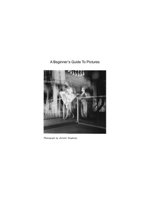 A Beginner's Guide to Pictures