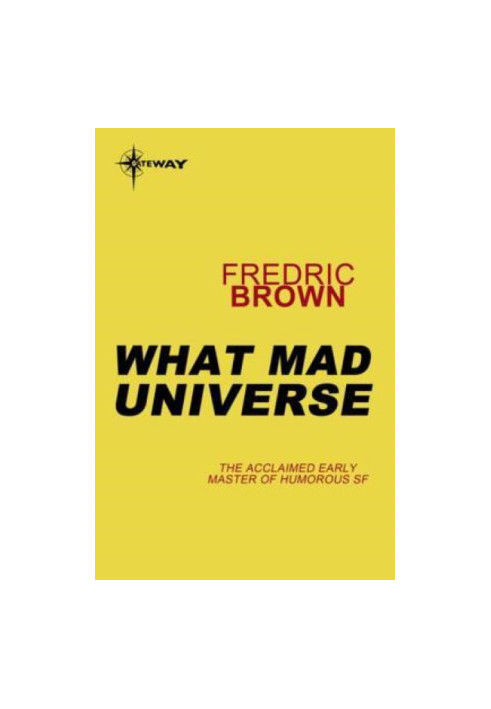 What Mad Universe