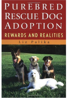 Purebred Rescue Dog Adoption: Rewards and Realities