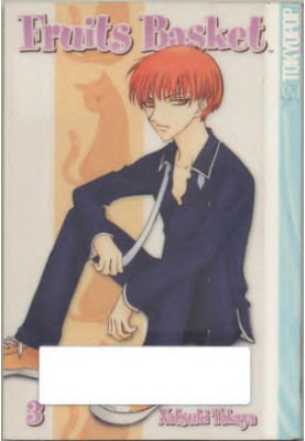 Fruits Basket V03
