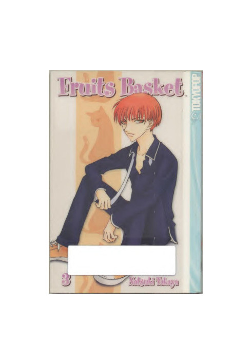 Fruits Basket V03