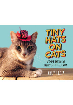 Tiny Hats on Cats