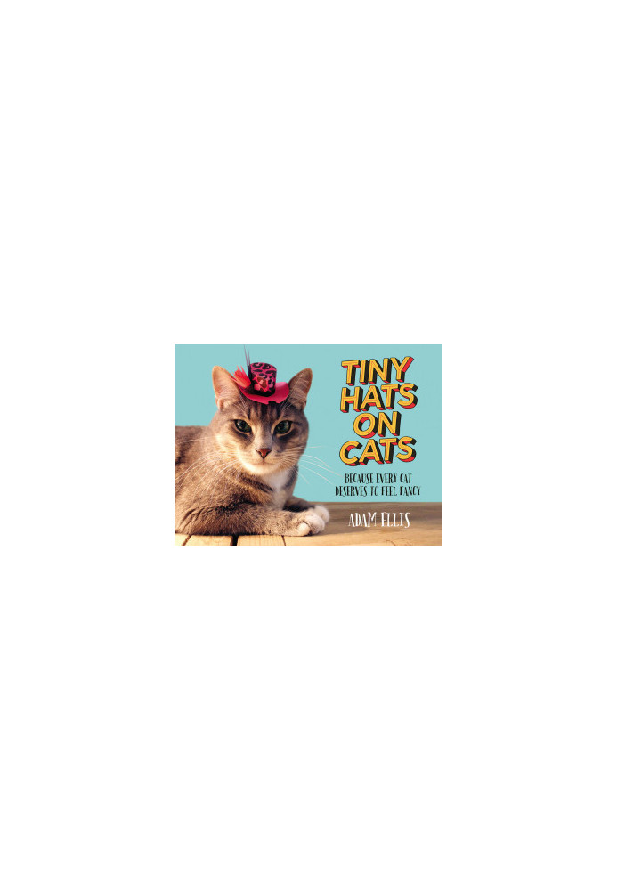 Tiny Hats on Cats