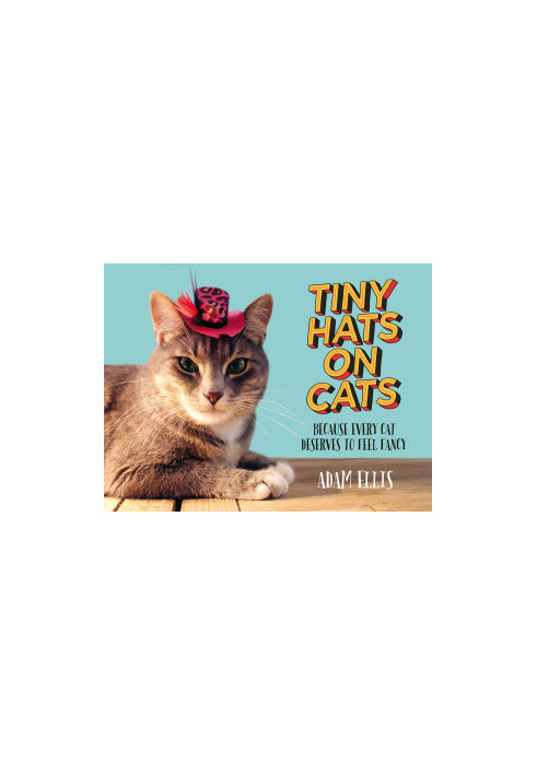 Tiny Hats on Cats