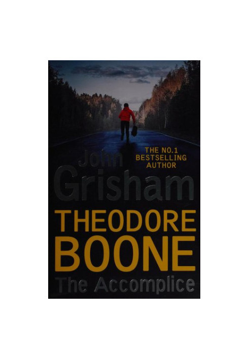 The Accomplice: Theodore Boone 7