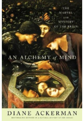 An Alchemy of Mind: The Marvel and Mystery of the Brain