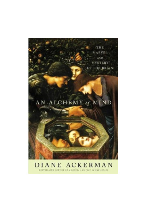 An Alchemy of Mind: The Marvel and Mystery of the Brain