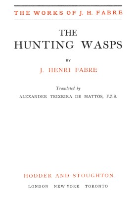 The Hunting Wasps