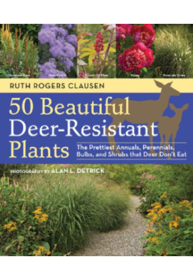 50 Beautiful Deer-Resistant Plants: The Prettiest Annuals, Perennials, Bulbs, and Shrubs That Deer Don't Eat