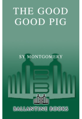 The Good Good Pig