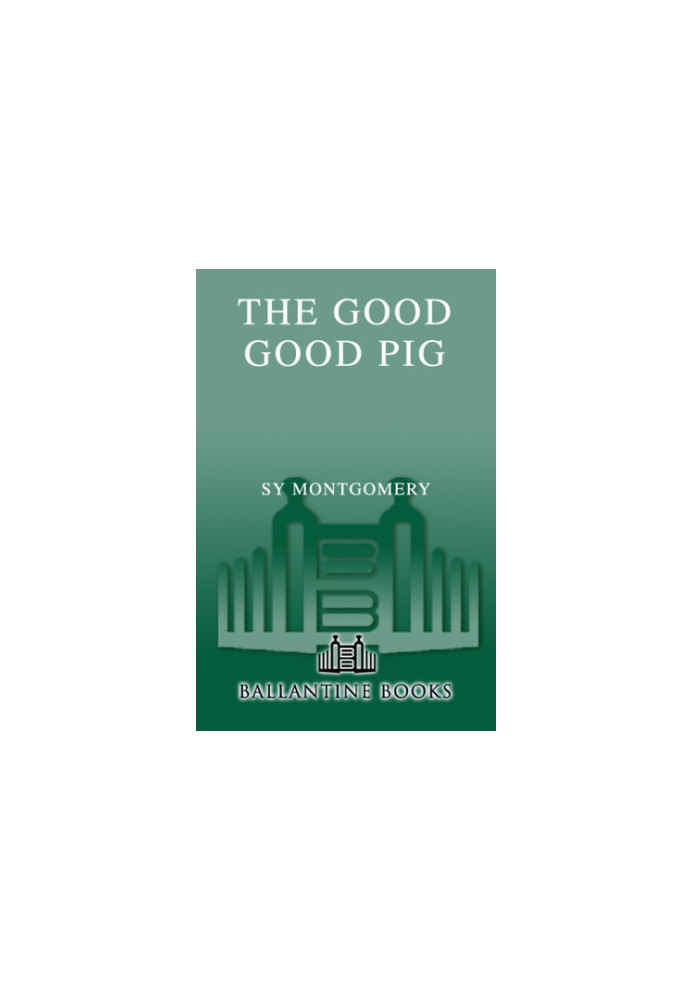 The Good Good Pig