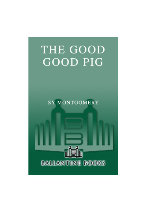 The Good Good Pig