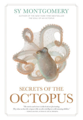 Secrets of the Octopus