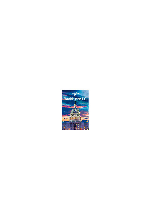 Washington DC Travel Guide