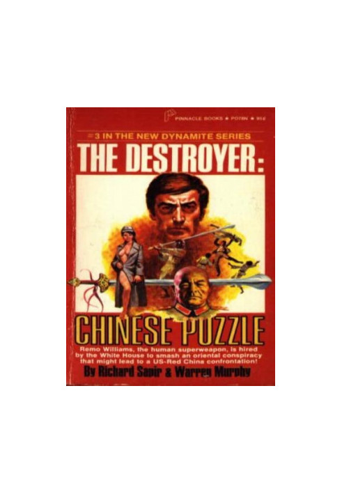 Chinese Puzzle