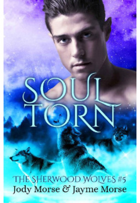 Soul Torn (The Sherwood Wolves 5)