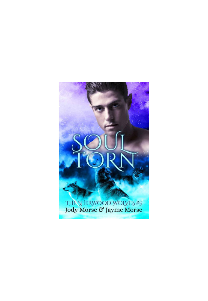 Soul Torn (The Sherwood Wolves 5)