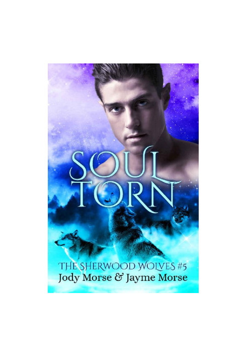 Soul Torn (The Sherwood Wolves 5)