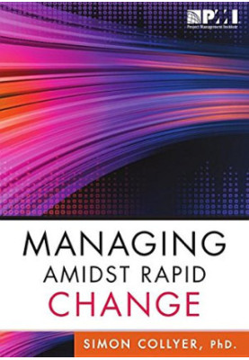 Managing amidst rapid change : management approaches for dynamic environments