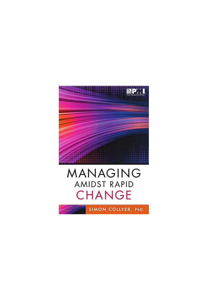 Managing amidst rapid change : management approaches for dynamic environments
