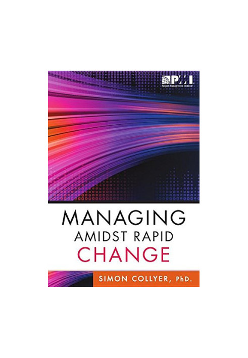 Managing amidst rapid change : management approaches for dynamic environments
