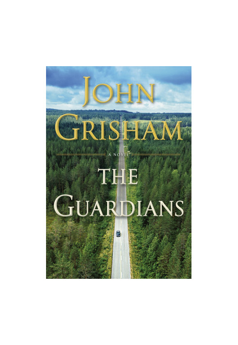 The Guardians: A Novel