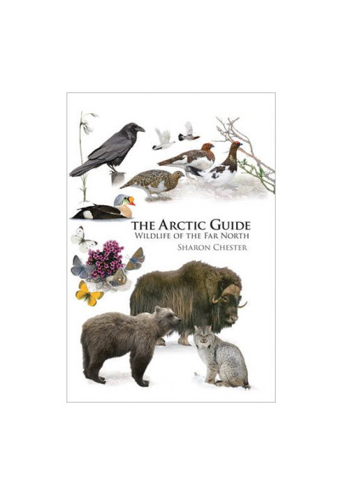 The Arctic Guide: Wildlife of the Far North