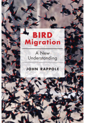 Bird Migration - A New Understanding