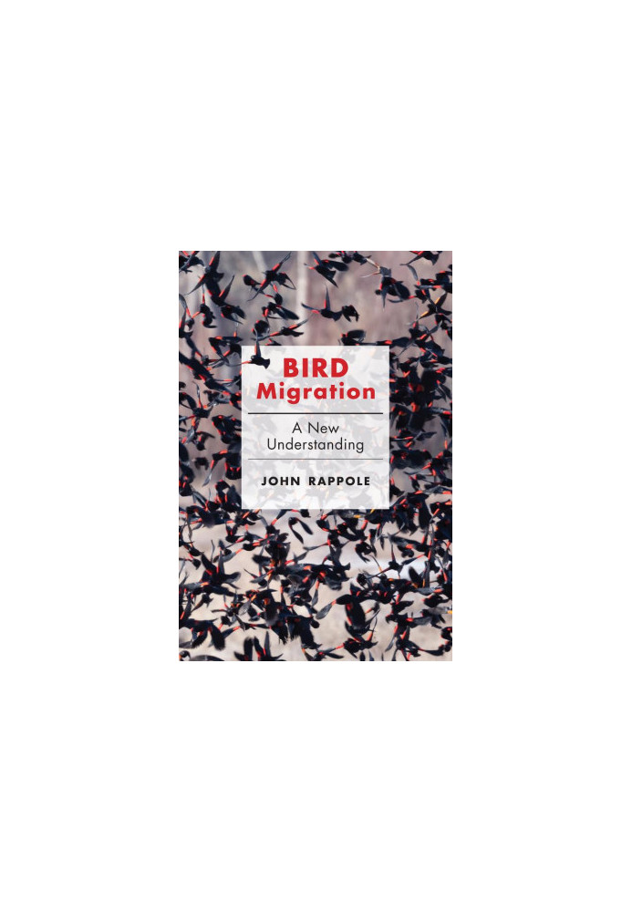 Bird Migration - A New Understanding