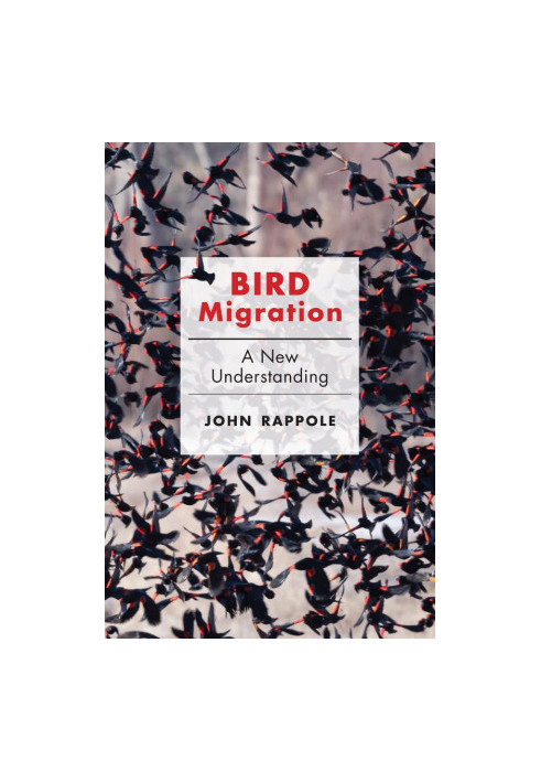 Bird Migration - A New Understanding