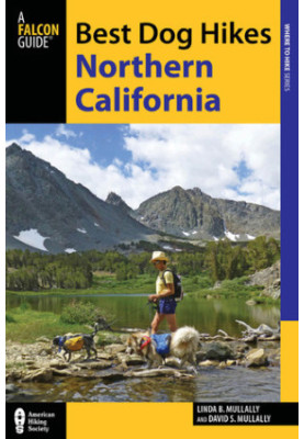 Best dog hikes Northern California