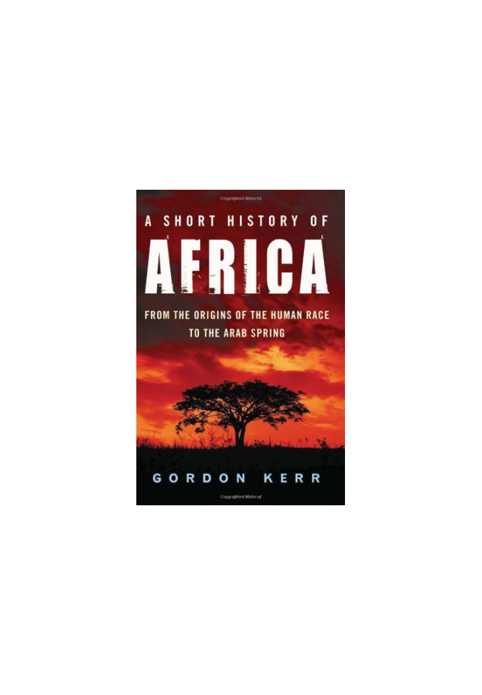 A short history of Africa : from the origins of the human race to the Arab spring