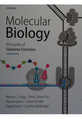 Molecular biology : principles of genome function 2014