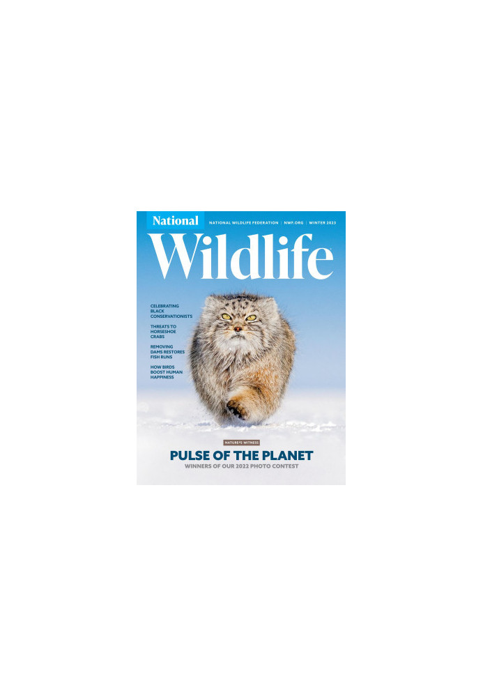 National Wildlife Winter