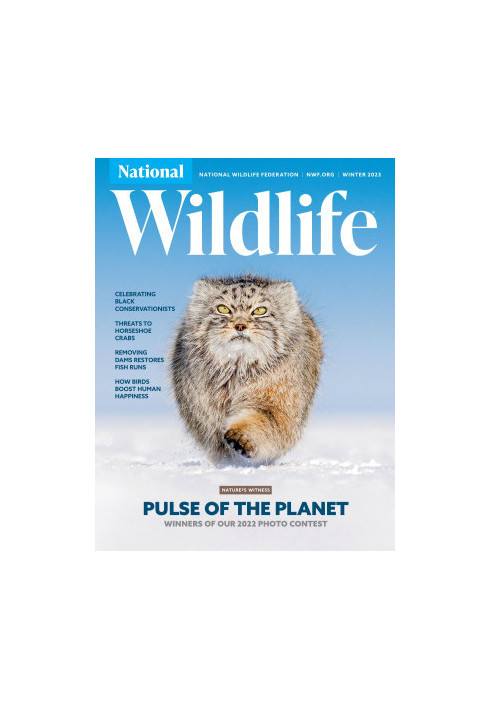 National Wildlife Winter