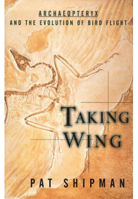Taking Wing: Archaeopteryx and the Evolution of Bird Flight