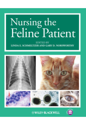 Nursing the Feline Patient