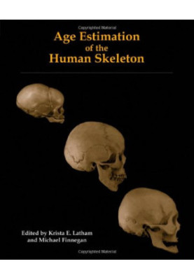 Age Estimation of the Human Skeleton