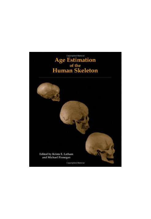 Age Estimation of the Human Skeleton