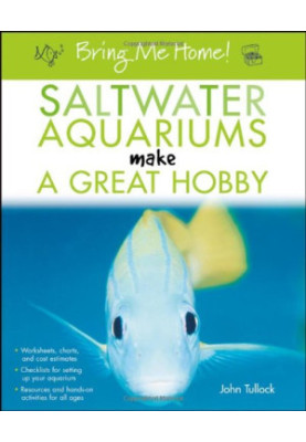 Bring Me Home! Saltwater Aquariums Make a Great Hobby (Bring Me Home!)