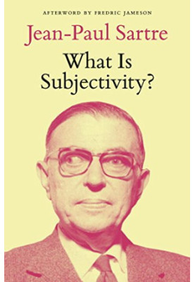 What Is Subjectivity?