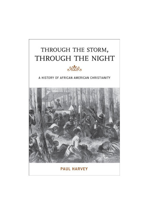 Through the Storm, Through the Night