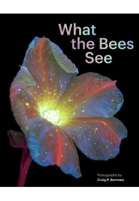 What the Bees See • A Honeybee’s Eye View of the World