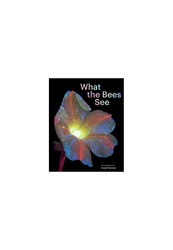 What the Bees See • A Honeybee’s Eye View of the World