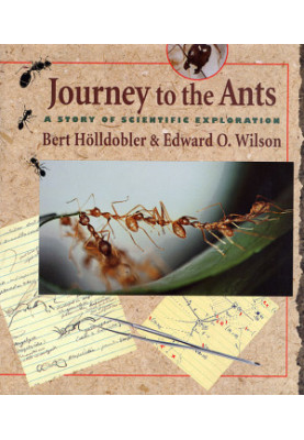 Journey to the Ants: A Story of Scientific Exploration