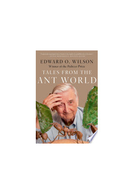 Tales from the Ant World
