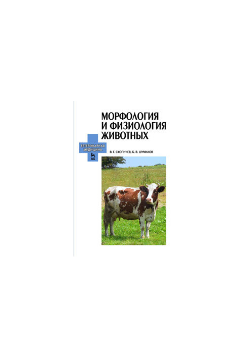 Морфологія та фізіологія тварин